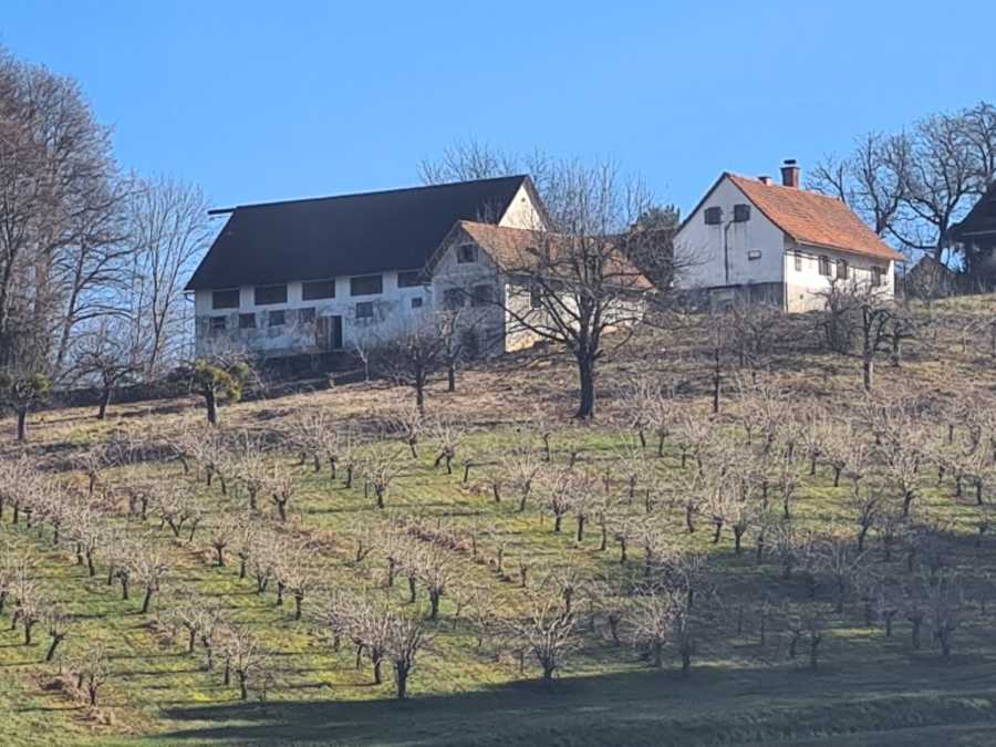 Immobilie: Bauernhaus in 8093 Sankt Peter am Ottersbach