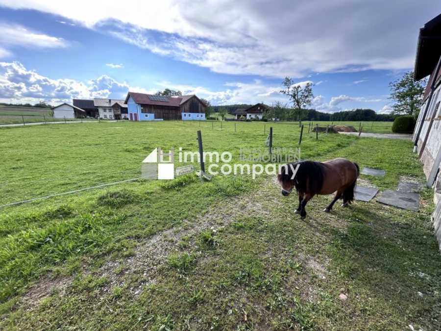 Immobilie: Landwirtschaft in 5120 Ostermiething