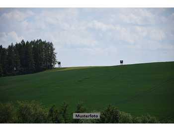 Landwirtschaftsgrund Obernalb