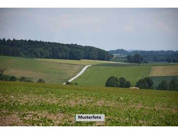 Landwirtschaftsgrund Obernalb